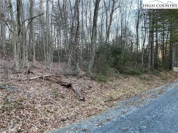 Lot 73 Laurel Mountain DR, Sparta, NC 28675