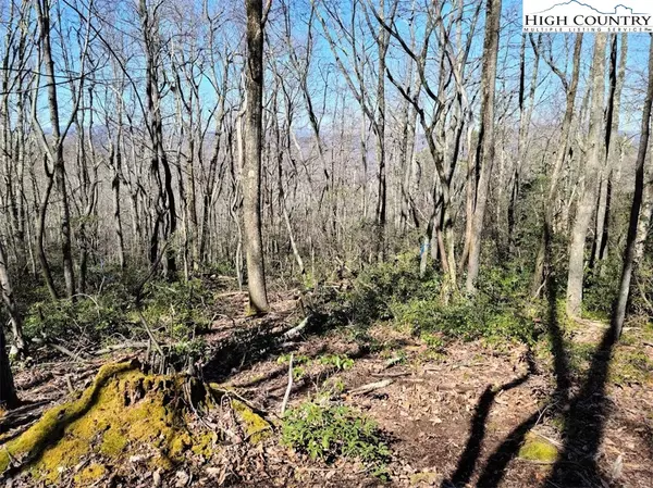 Boone, NC 28607,Lot 42 Heavenly Mountain