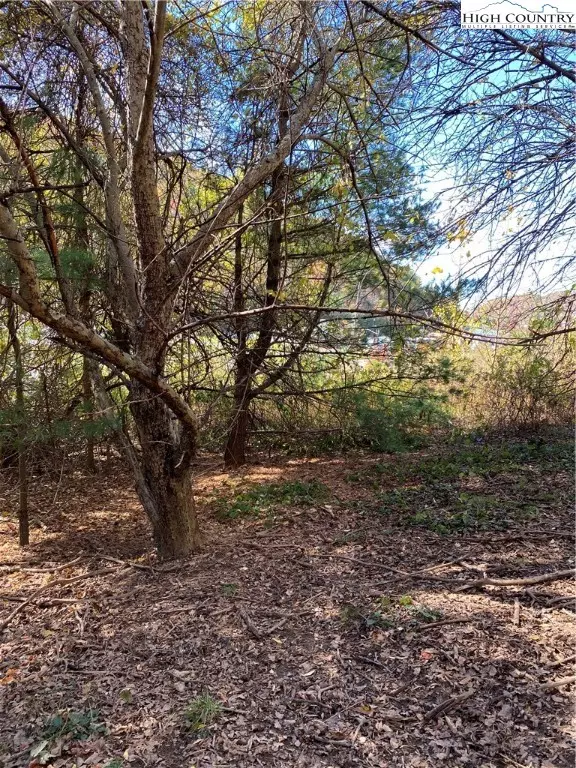 Boone, NC 28607,TBD NC-105 HWY