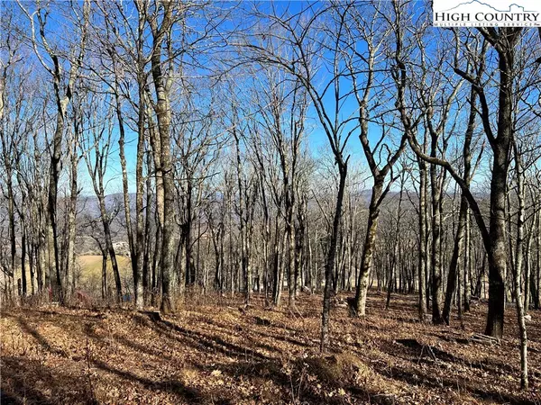 Banner Elk, NC 28604,Lot 15 Chappell Farm RD