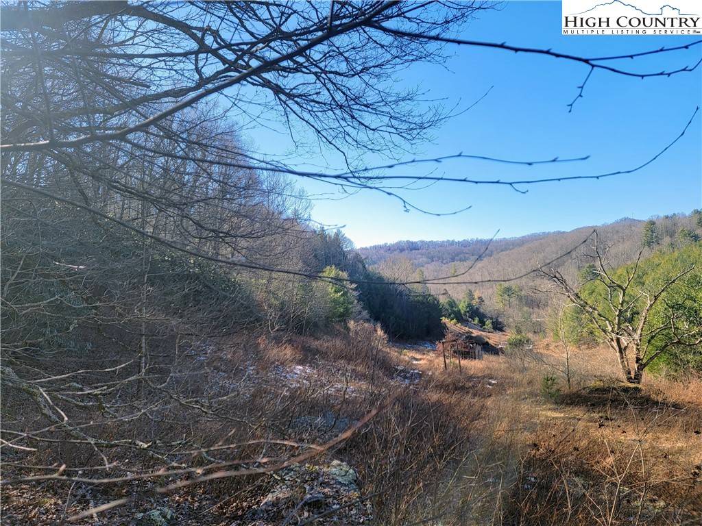 9770 Nc Highway 16, Grassy Creek, NC 28631
