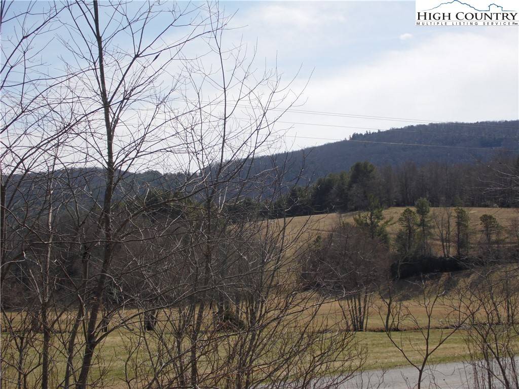 Sparta, NC 28675,TBD Lot 1 Brown RD