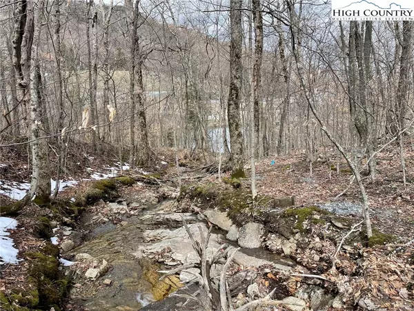 Beech Mountain, NC 28604,Lot 5 Skiview LN