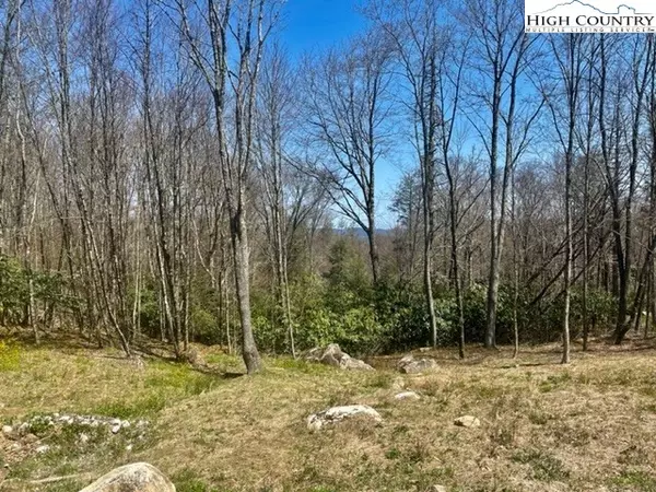 Banner Elk, NC 28604,Lot 73 Eagle Creek