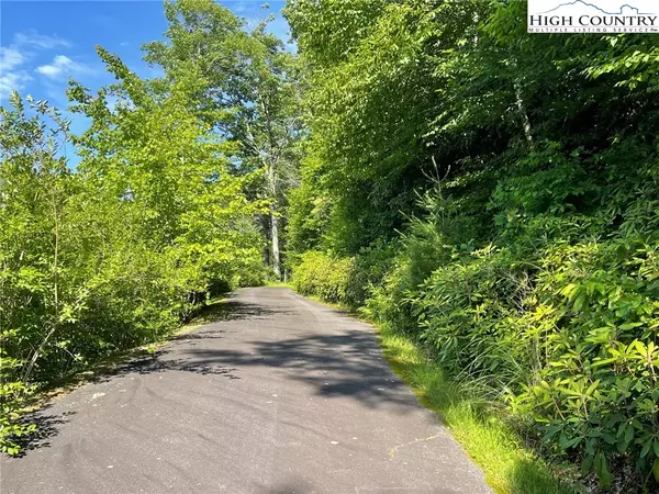 Boone, NC 28607,Lot 4 Farm Valley LN