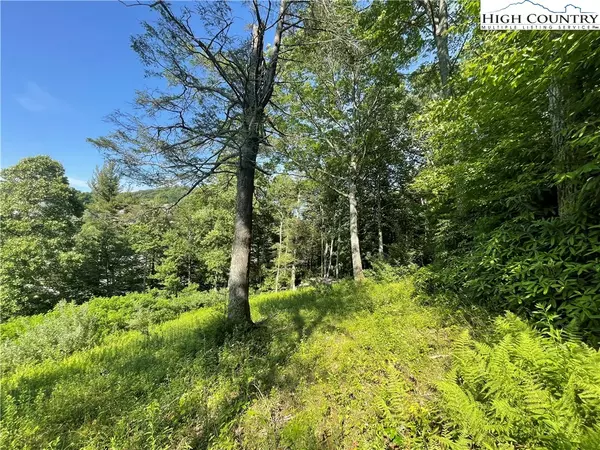 Boone, NC 28607,Lot 4 Farm Valley LN