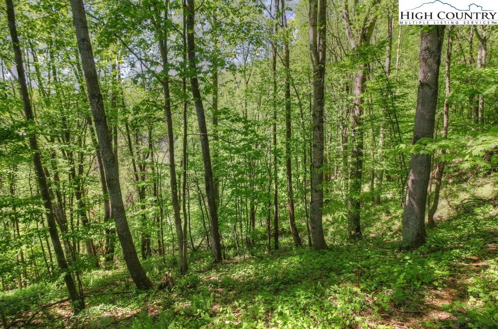 Lot 7 Yasmine LN, Vilas, NC 28692