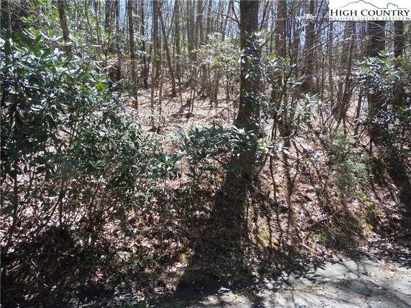 L62 James ST, Fleetwood, NC 28626