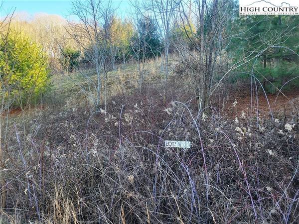 Lot 5 Terra Vista DR, Laurel Springs, NC 28644