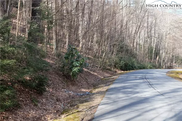Boone, NC 28607,Lot 6B Twin Rivers DR
