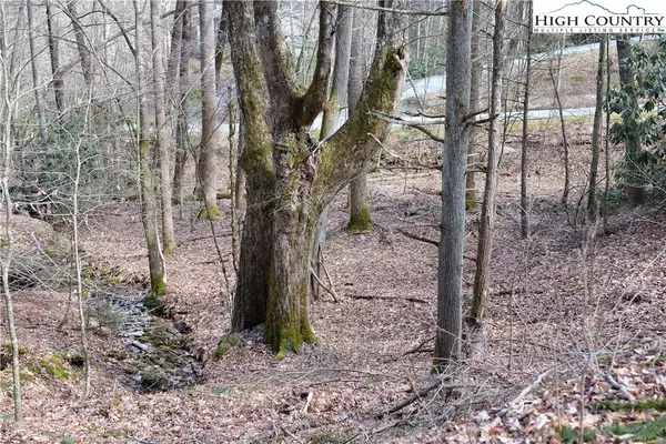 Boone, NC 28607,Lot 8B Twin Rivers Dr DR