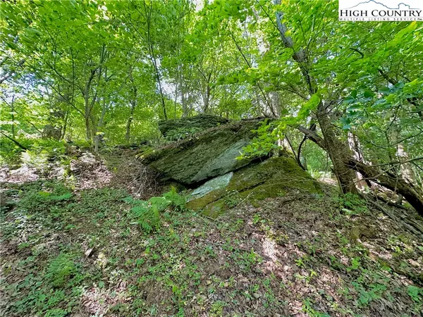 Banner Elk, NC 28604,16/17 Spice Bottom TRL