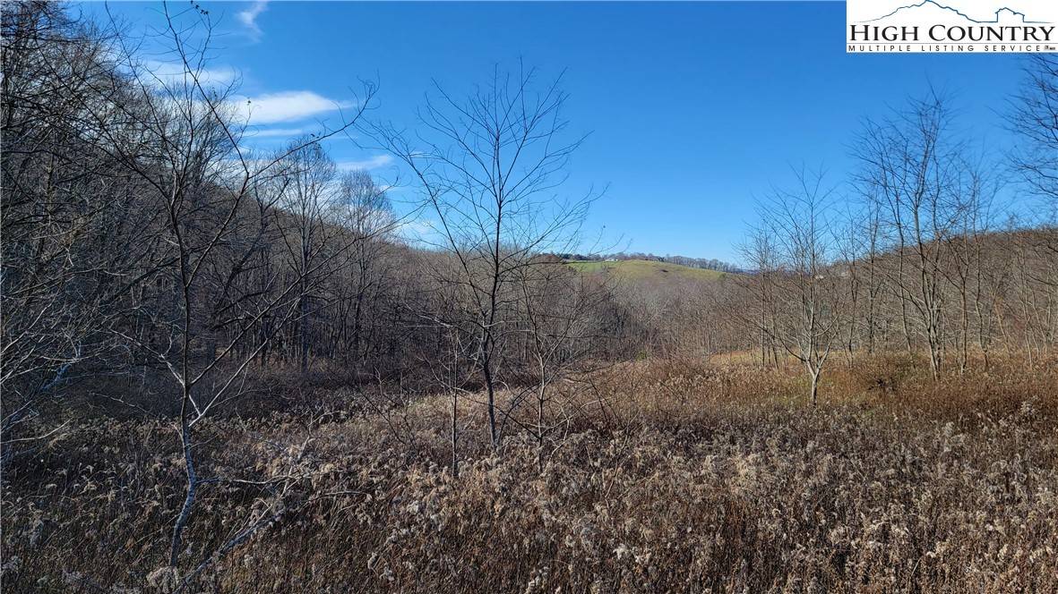 Laurel Springs, NC 28644,171/172/173 Ginkgo DR