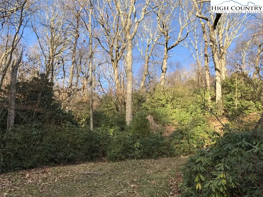 Blowing Rock, NC 28605,Lot 1 Tanawha Pkwy