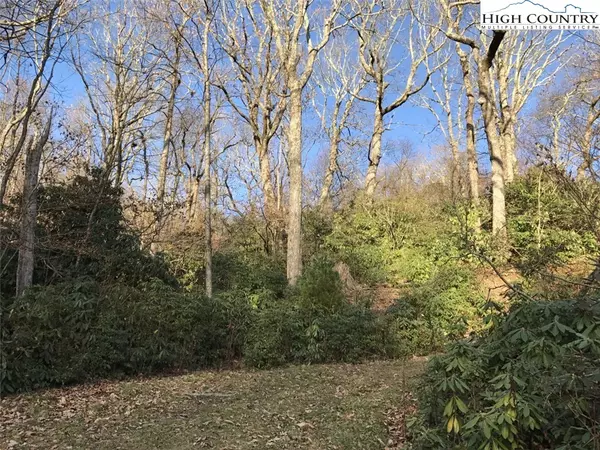 Lot 1 Tanawha Pkwy, Blowing Rock, NC 28605