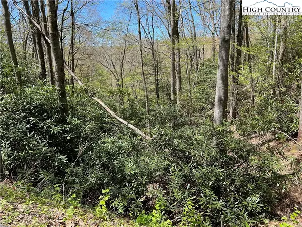 Newland, NC 28657,278 Trout Brook LOOP