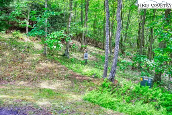 Fleetwood, NC 28626,Lot 18 Quail Ridge DR