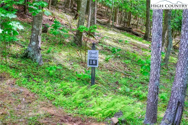 Fleetwood, NC 28626,Lot 18 Quail Ridge DR