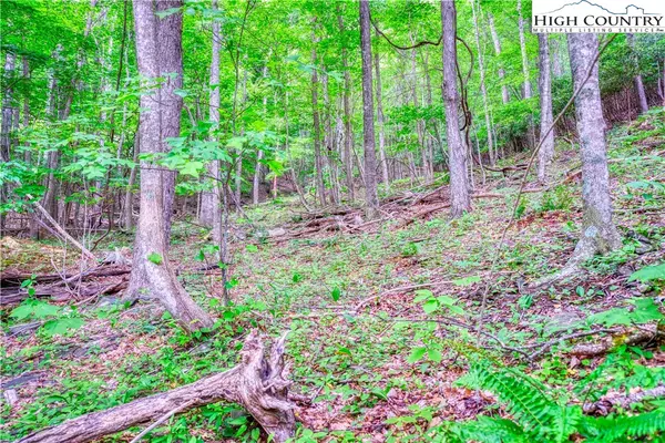 Fleetwood, NC 28626,Lot 30 Quail Ridge DR