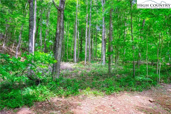 Fleetwood, NC 28626,Lot 16 Quail Ridge DR