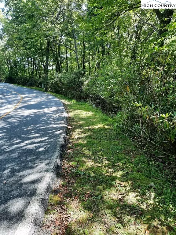 Blowing Rock, NC 28605,TBD - Lot 1 Dendron LN