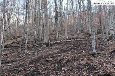 Beech Mountain, NC 28604,106 Hornbeam RD