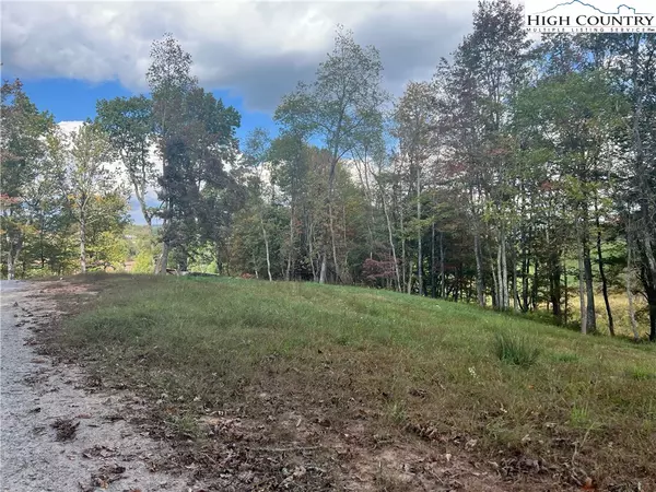 TBD Busic Ridge #7, Sparta, NC 28675