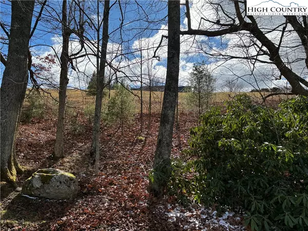 Boone, NC 28607,Lots 12 & 13 Gable Farm RD