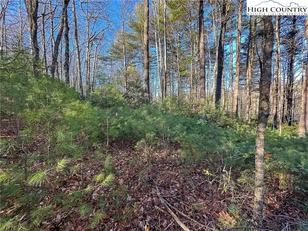 West Jefferson, NC 28694,TBD Hidden Spring EXT