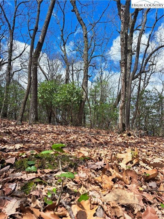 TBD Mountain View Drive, NC 27024