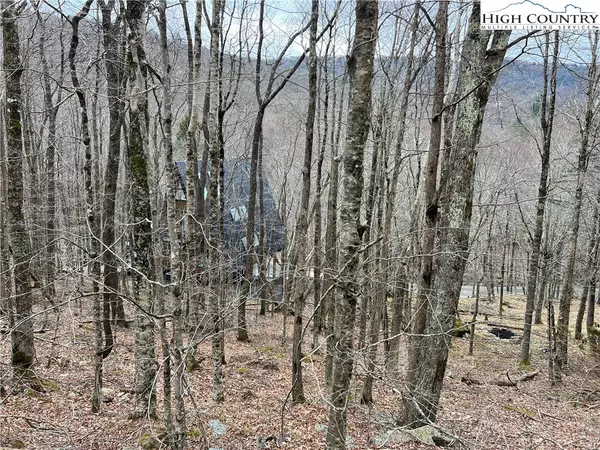 115 Pond Creek RD, Beech Mountain, NC 28604