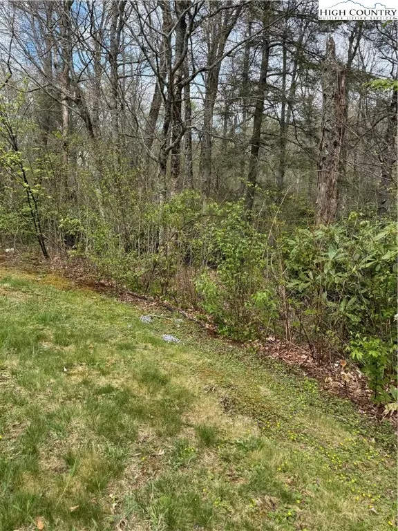 Linville, NC 28646,TBD Linville River DR #Lot 4 & 5