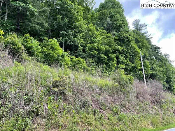 Newland, NC 28657,0 Buckeye Hollow RD