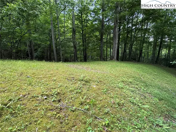 Burnsville, NC 28714,Lot 1 The Cove at Celo Mountain