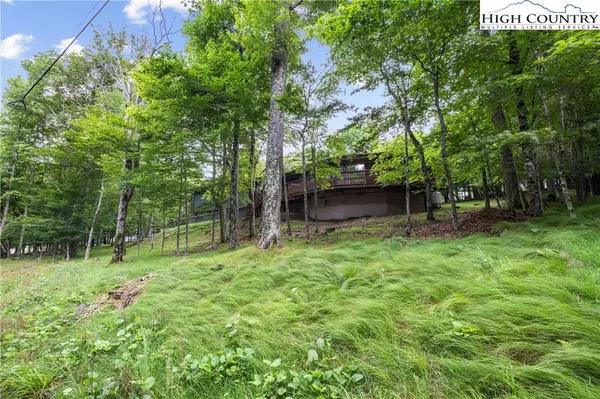 Beech Mountain, NC 28604,103 Raven RD