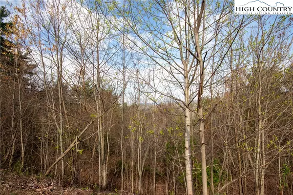 Lenoir, NC 28645,Lot# 171 Autumn RDG