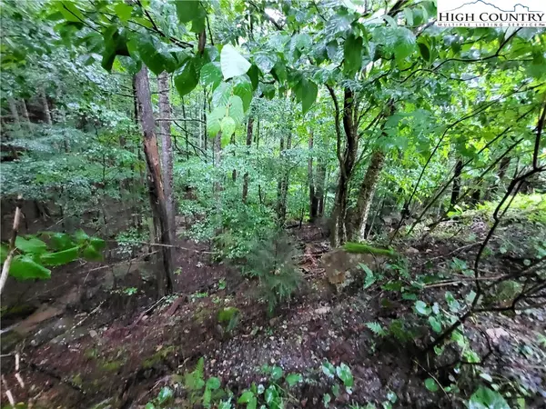 143 Raccoon RD, Beech Mountain, NC 28604