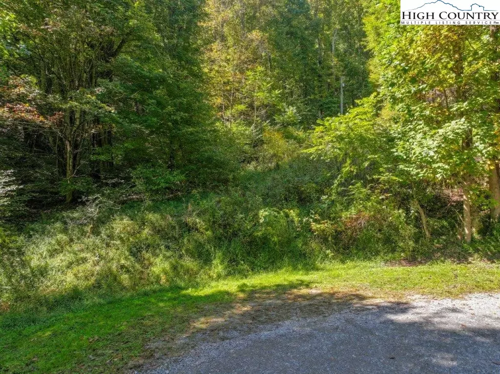 Sugar Grove, NC 28679,TBD Rocky Knob TRL