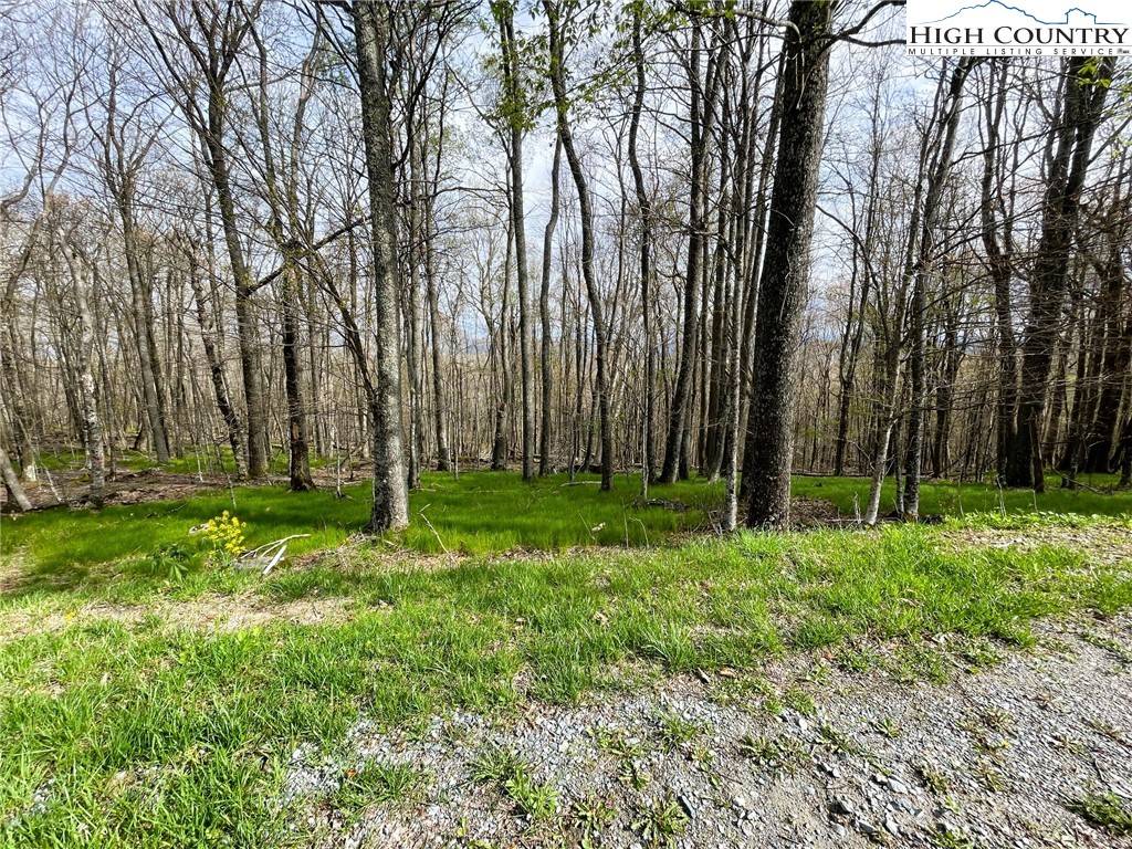 203 Sawmill Branch RD, Beech Mountain, NC 28604