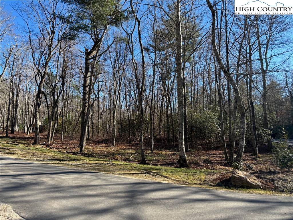 Lot W25 Tioga TRL, Glenville, NC 28736