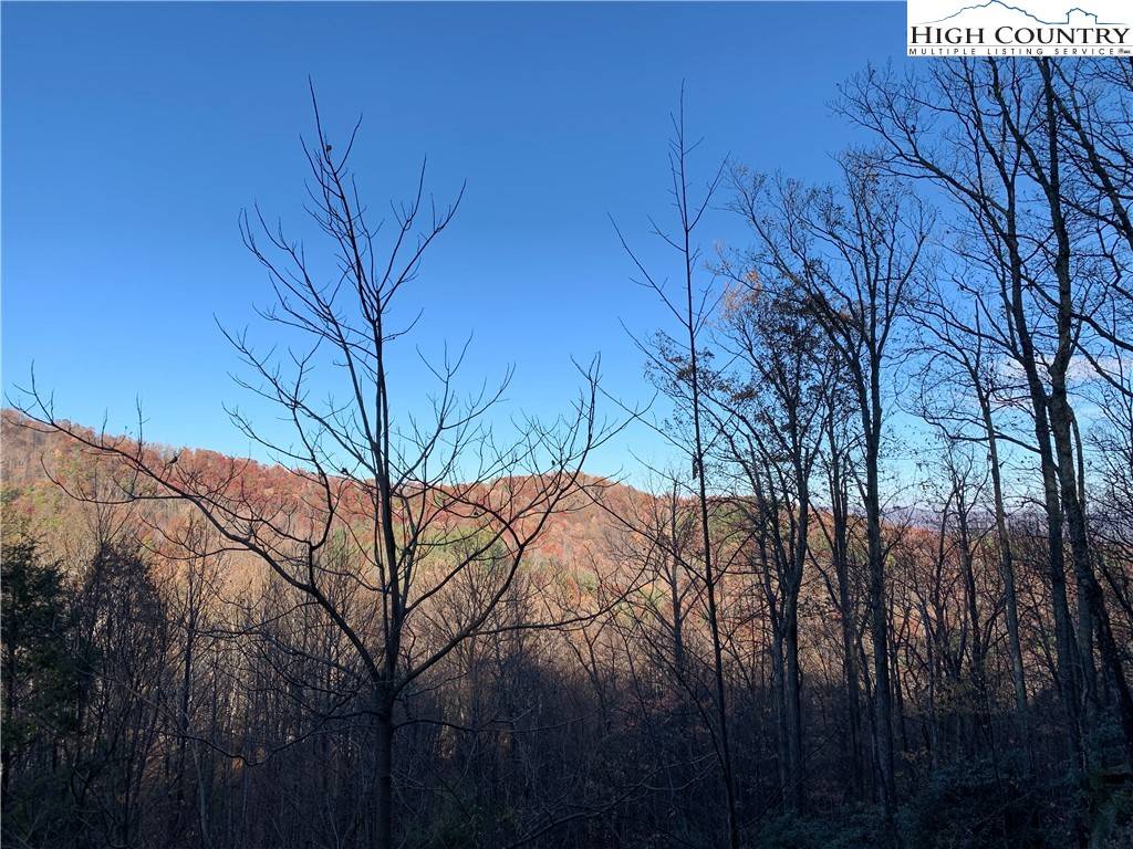 TBD (Lot 19) Wolf Den LN, Lenoir, NC 28645