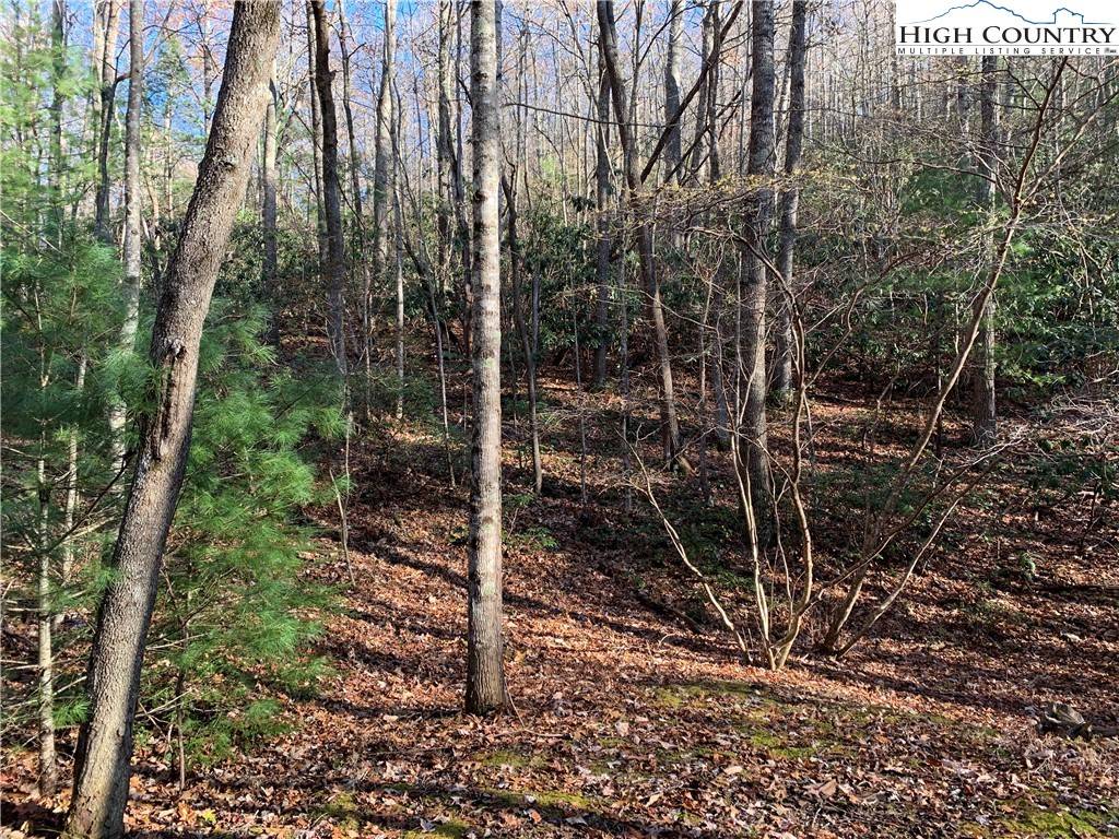 TBD (Lot 1) Dugger Firetower RD, Lenoir, NC 28645
