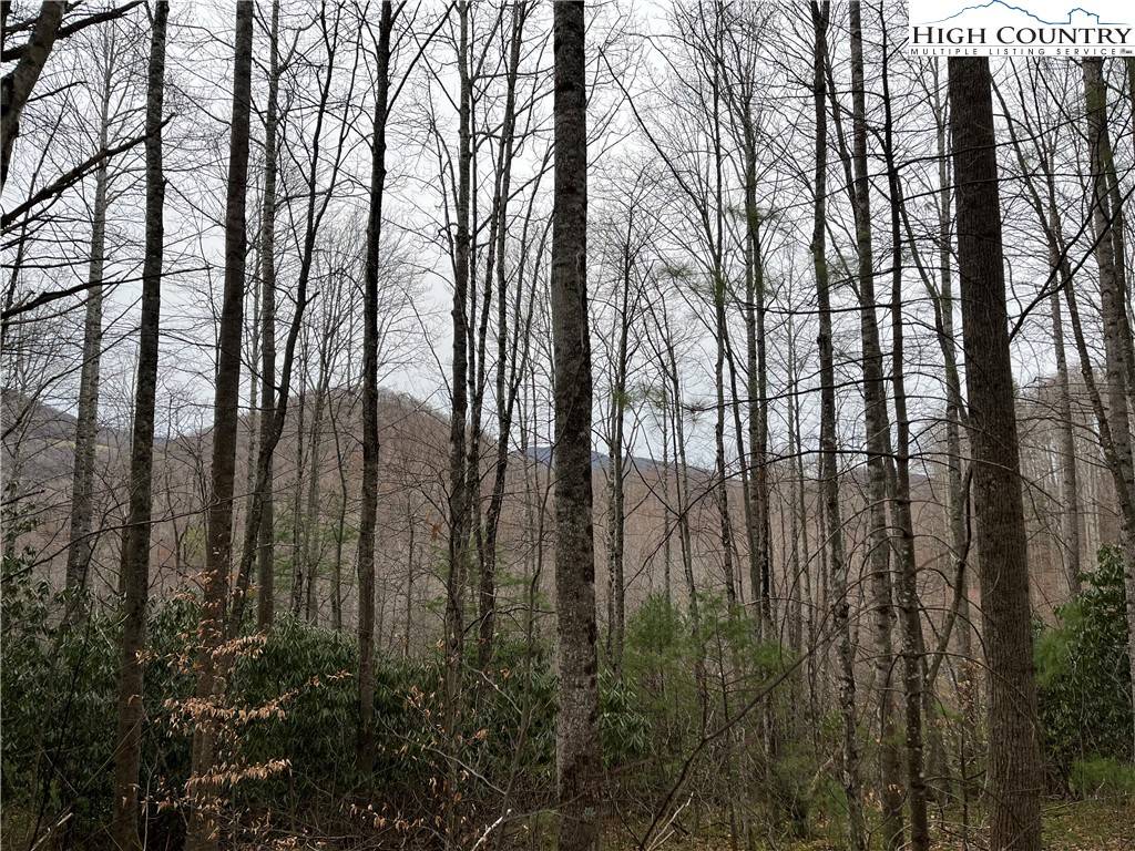 17 Solitude Lane, Todd, NC 28684