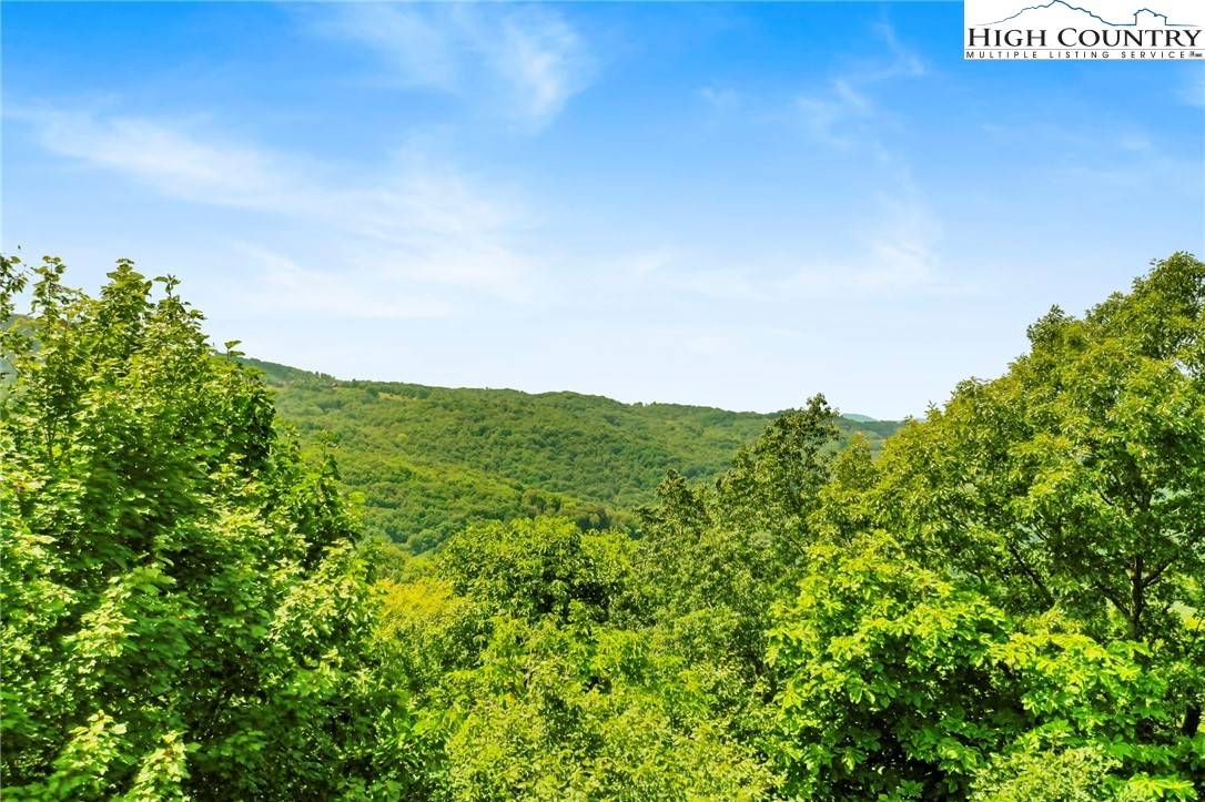 319 Pinnacle Ridge RD, Beech Mountain, NC 28604