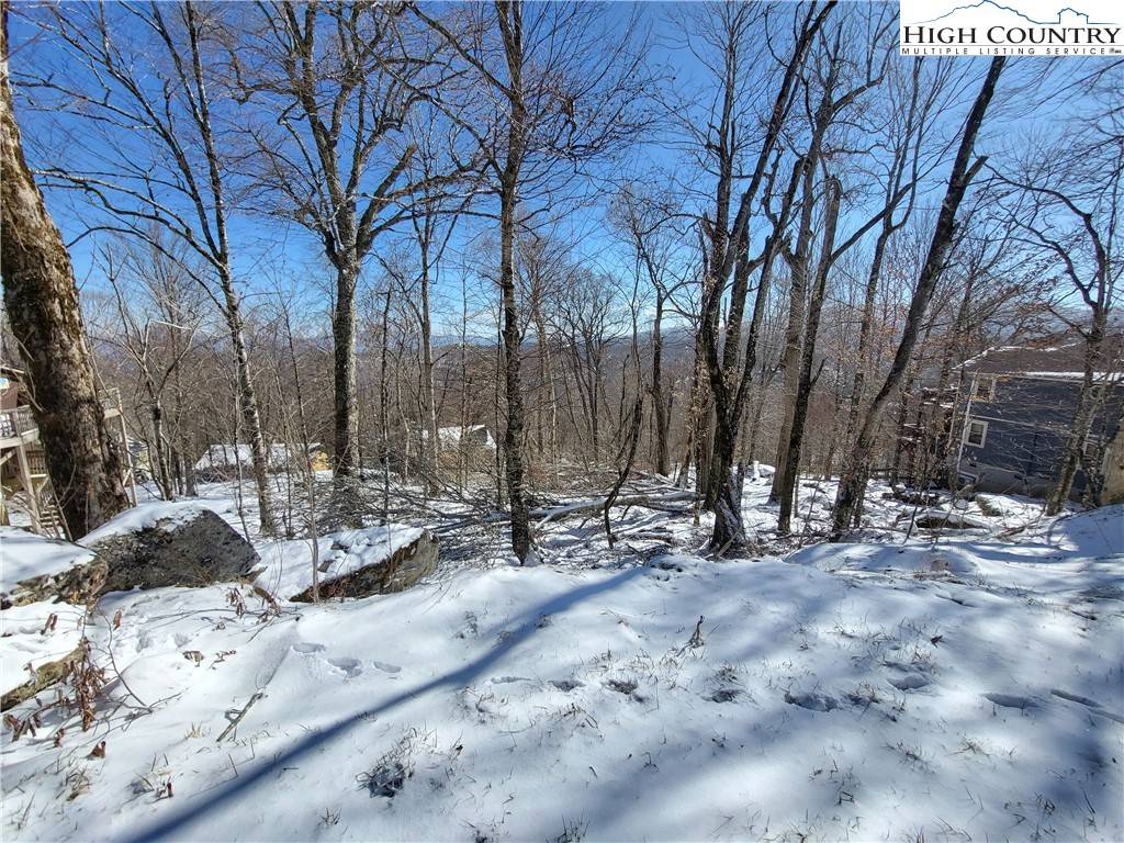 116 Village RD, Beech Mountain, NC 28604