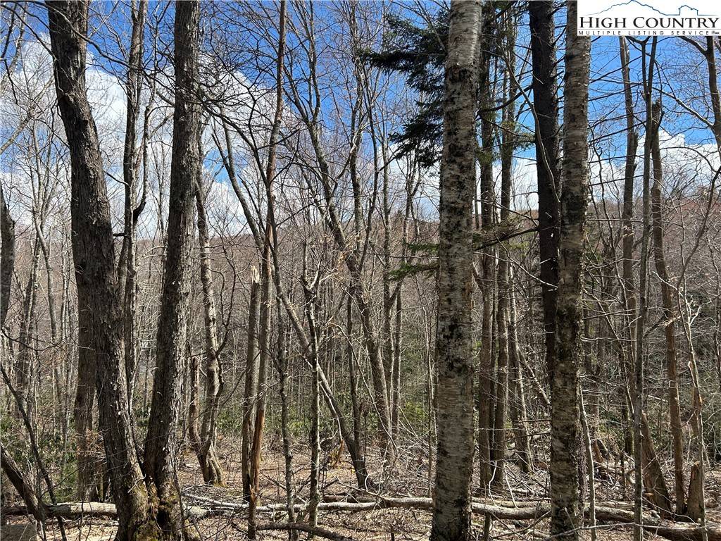 120 E Blueberry LN, Beech Mountain, NC 28604