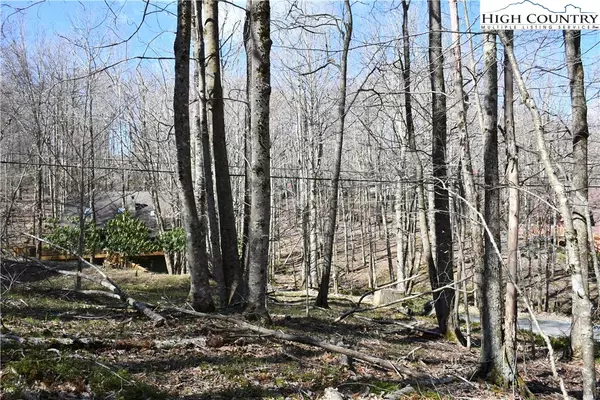 Beech Mountain, NC 28604,132 Overbrook TRL