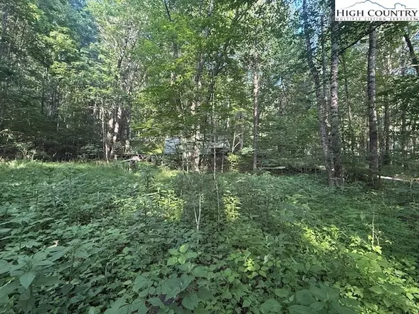 Lot 11 Billy Bob LN, Creston, NC 28615