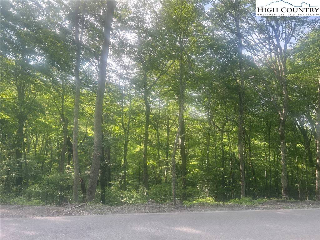 TBD Grouse Moor DR, Sugar Mountain, NC 28605