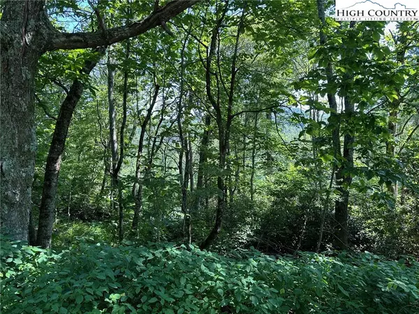 TBD Camden LN, Blowing Rock, NC 28605